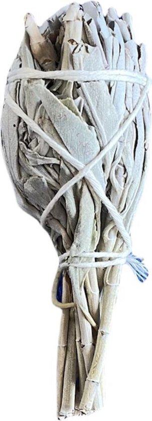 Reinig je huis pakket - Smudge Kit XS - Witte salie - Palo Santo sticks, Abalone schelp - incl. handleiding NL - voor energetische reiniging - original