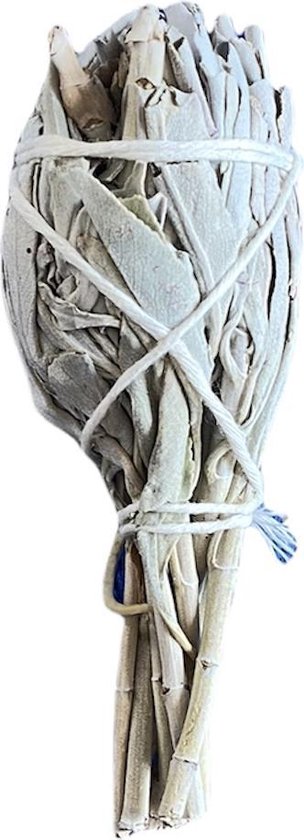 Reinig je huis pakket Soulfloating - Smudge Kit - Witte salie - Palo Santo sticks, Abalone schelp - incl. handleiding NL - voor energetische reiniging - original