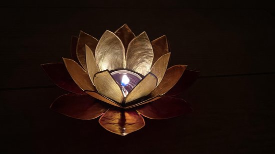 Lotus sfeerlicht 3-kleurig goudrand (Ø 13.5 cm)