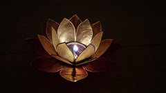 Lotus sfeerlicht 3-kleurig goudrand (Ø 13.5 cm)