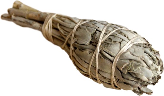 Witte Salie Smudge Fakkel (1 stuk)