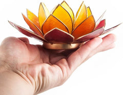 Lotus sfeerlicht 3-kleurig goudrand (Ø 13.5 cm)